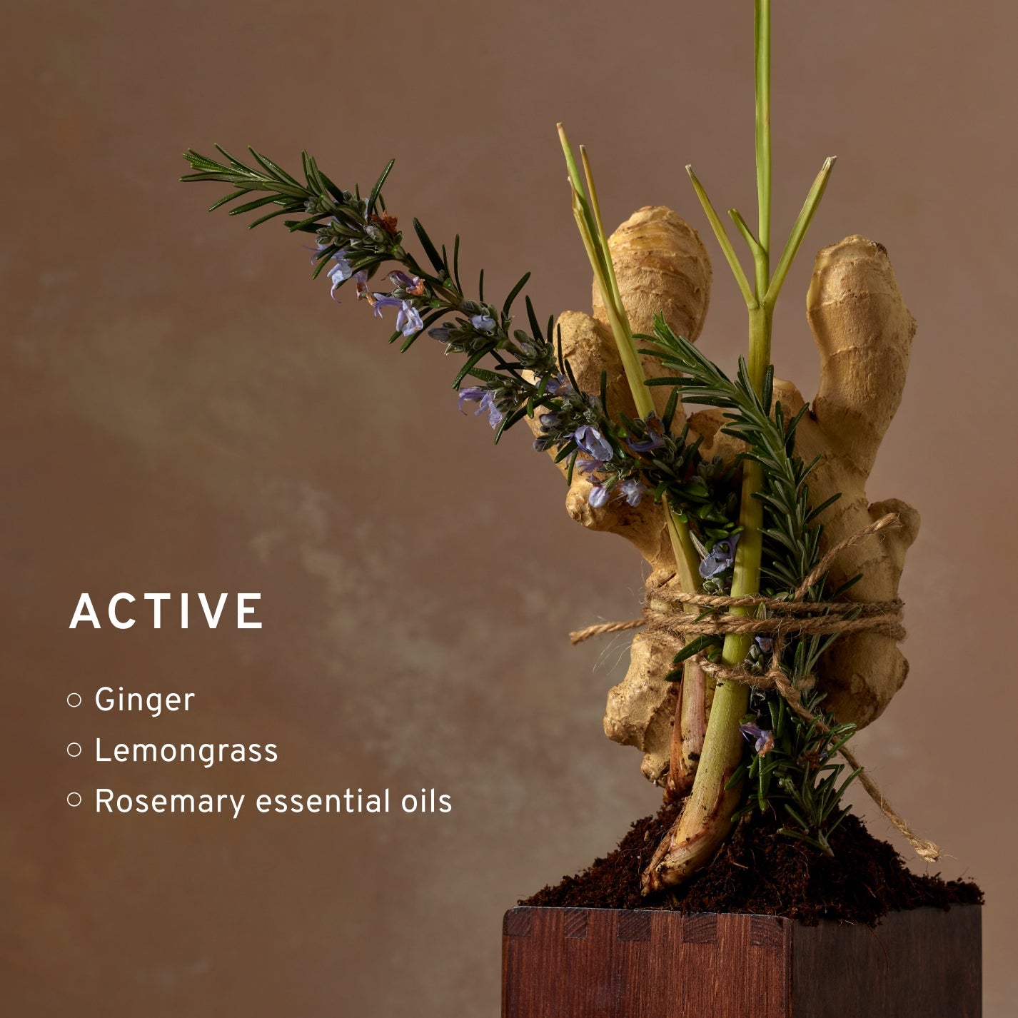 Active Body Oil
