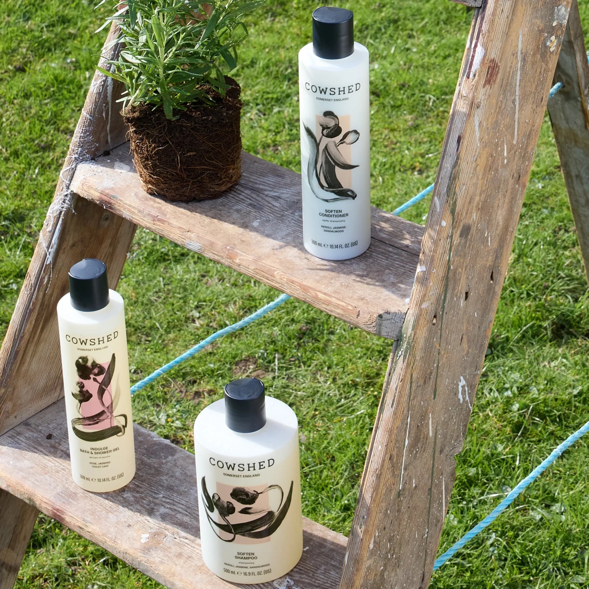 Three bottles of Cowshed products on a wooden ladder outdoors.