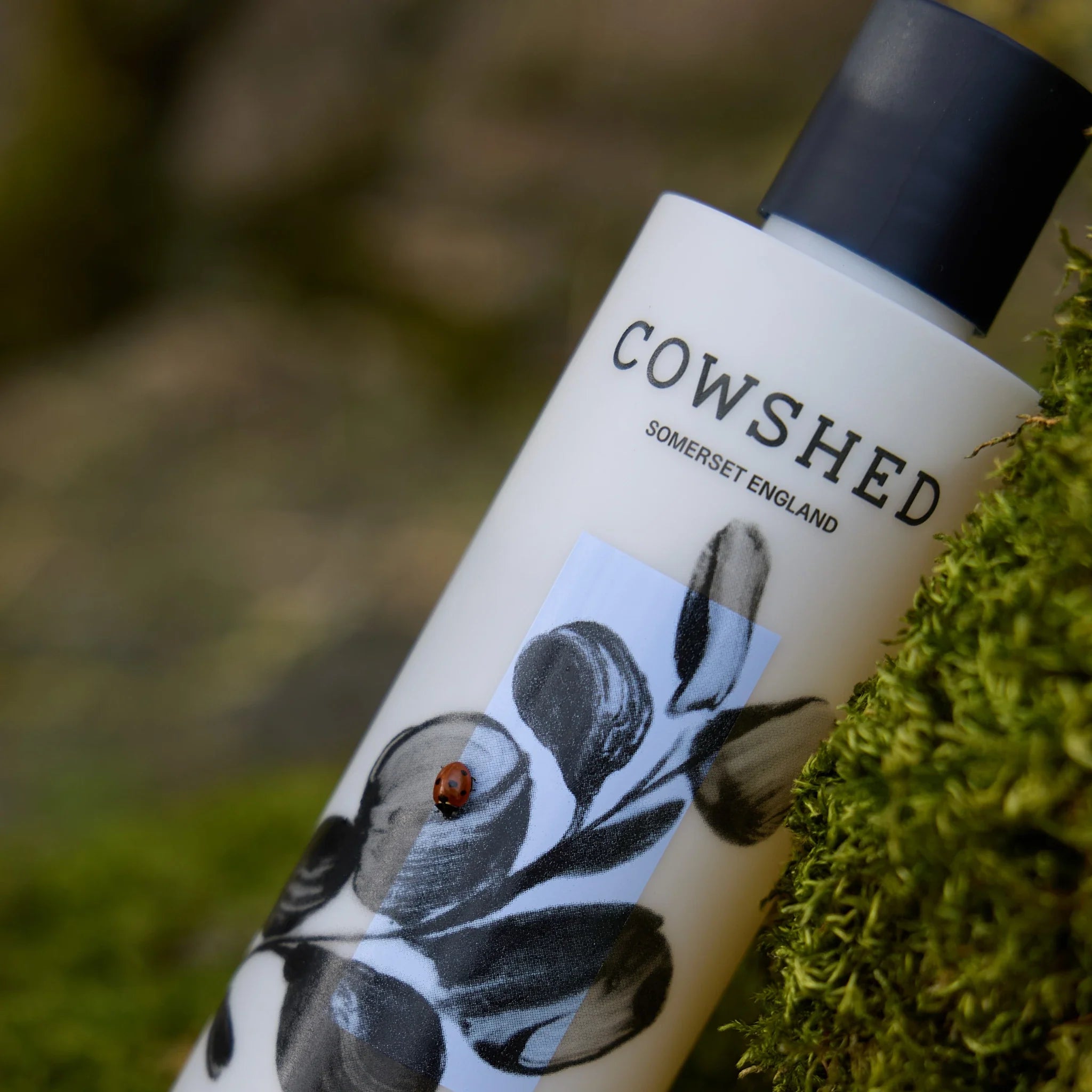 Cowshed lotion with a ladybug on a blurred mossy background