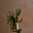 Active Room Candle