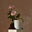 Indulge Room Candle