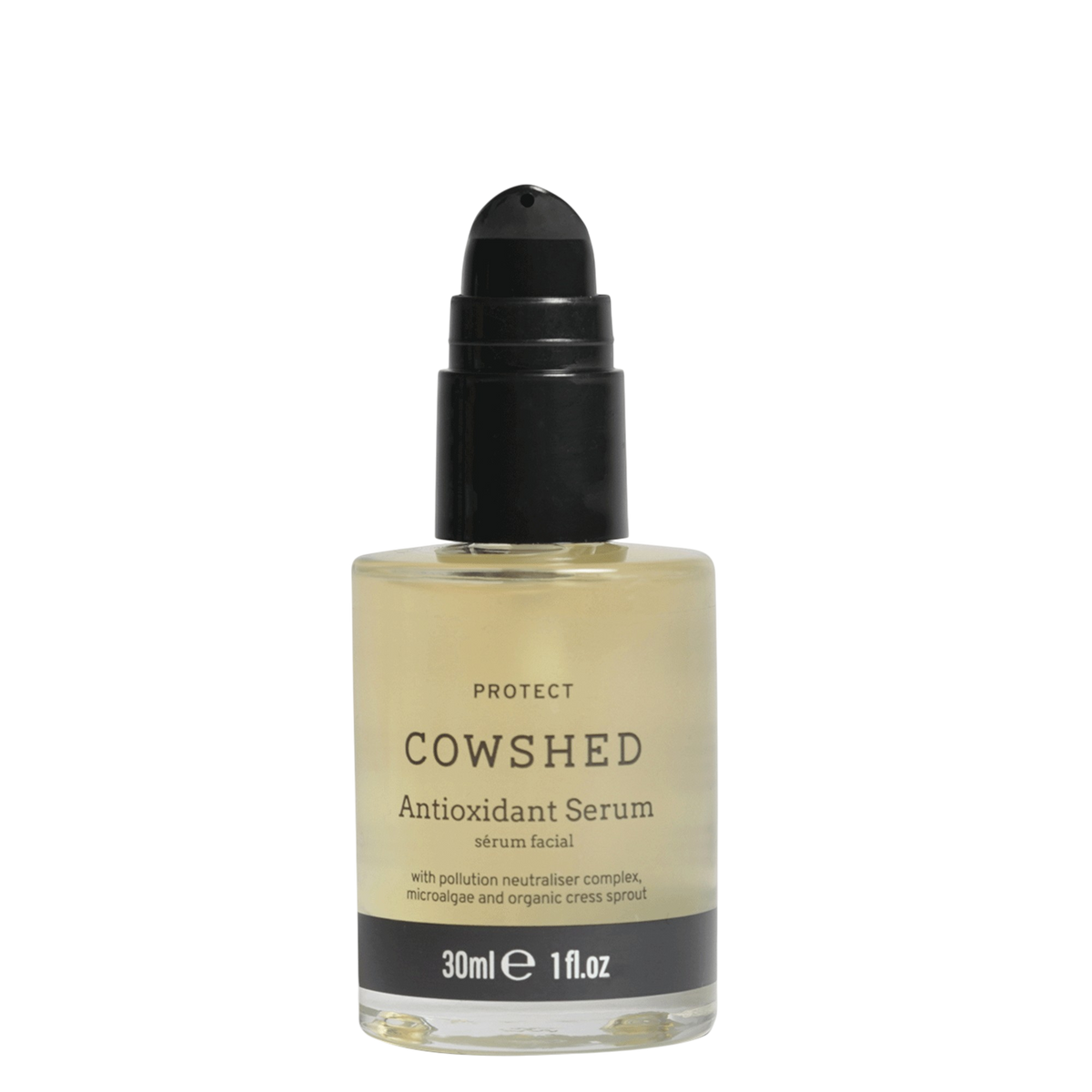 Antioxidant Serum