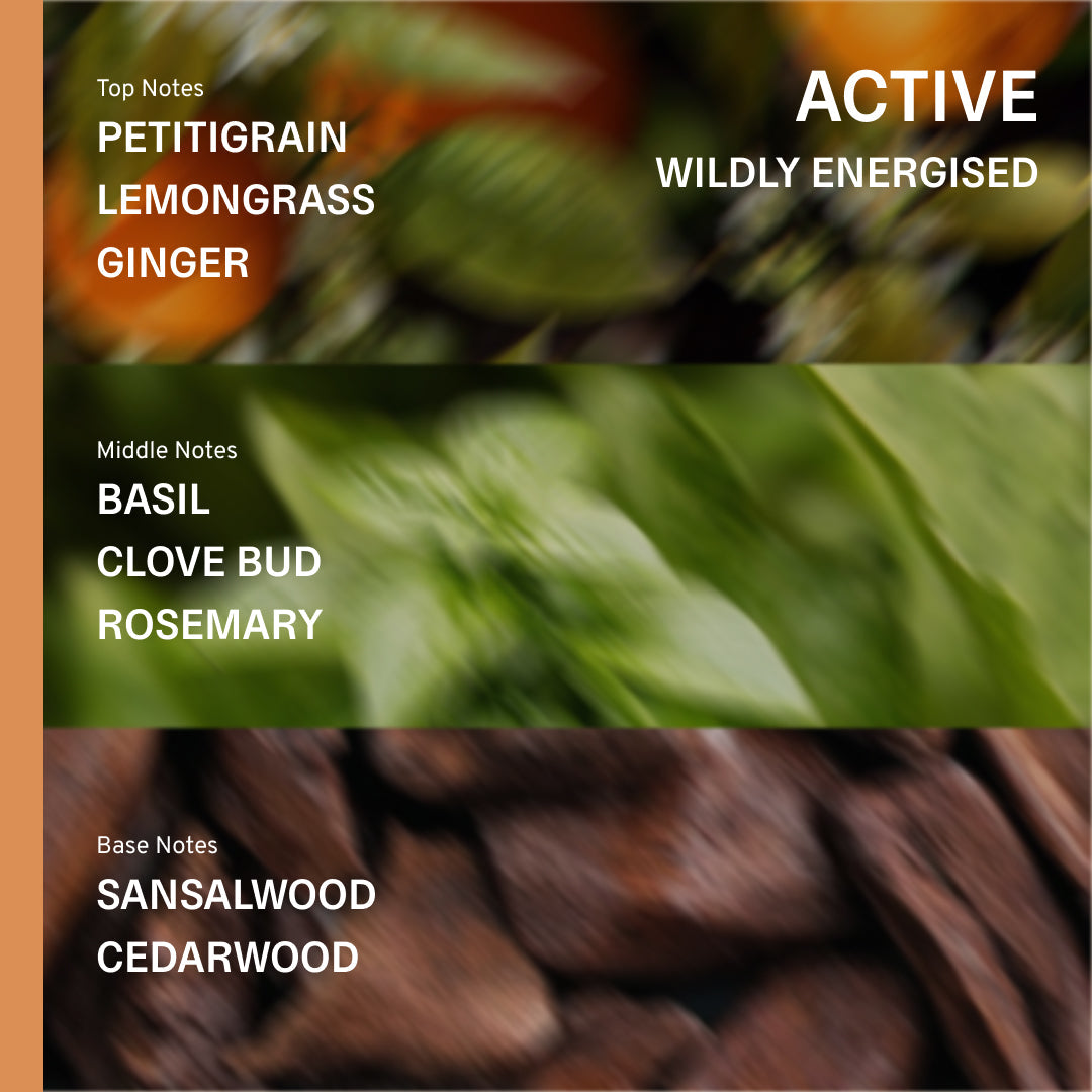 Active Bath & Body Gift Set - Lemongrass, Ginger, Rosemary