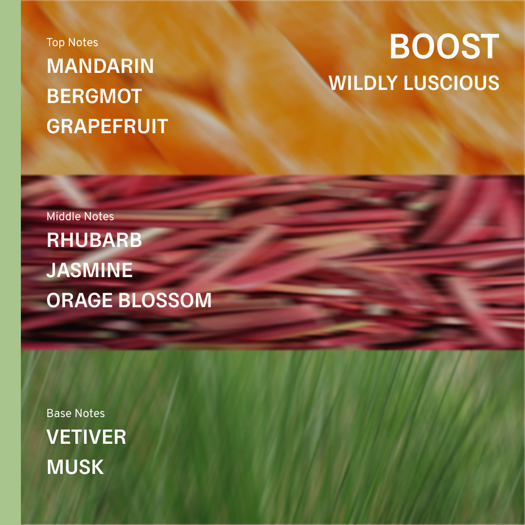 Boost Shampoo - Rhubarb, Bergamot, Vetiver