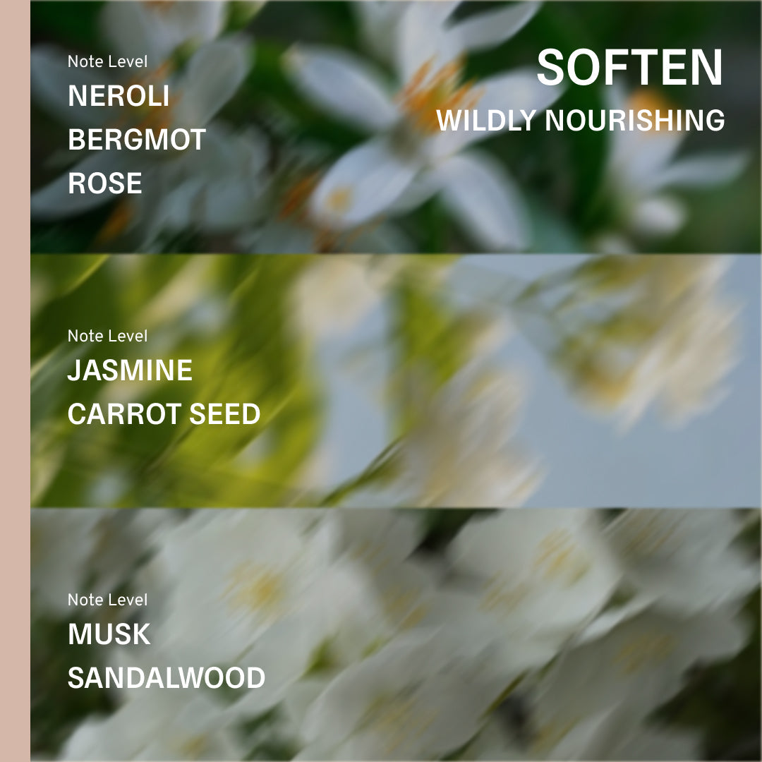 Soften Shampoo - Neroli, Jasmine, Sandalwood