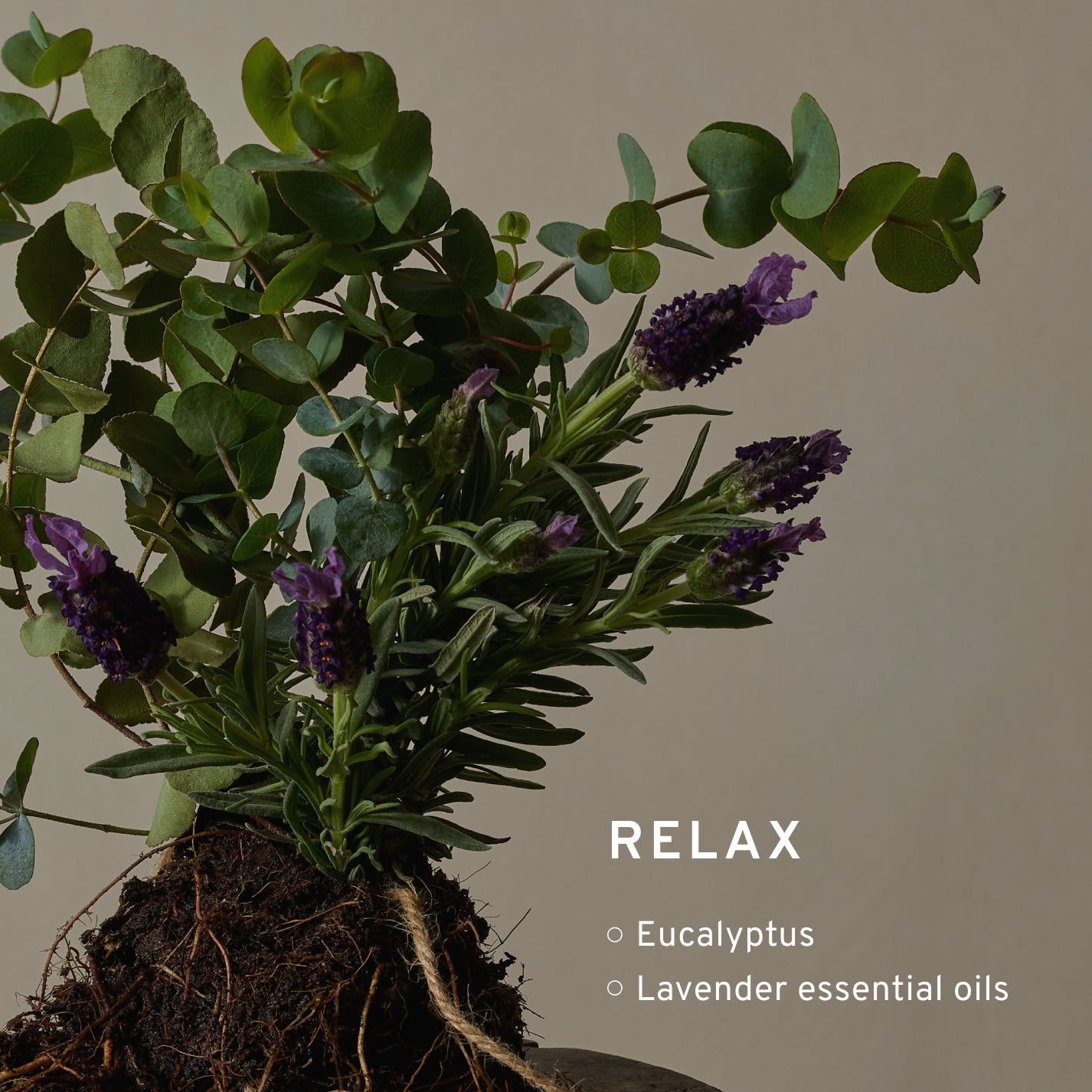 Calming Essentials Set