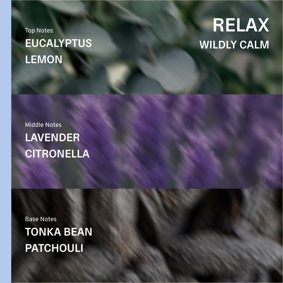 Relax Bath & Body Gift Set - Lavender, Eucalyptus, Tonka Bean