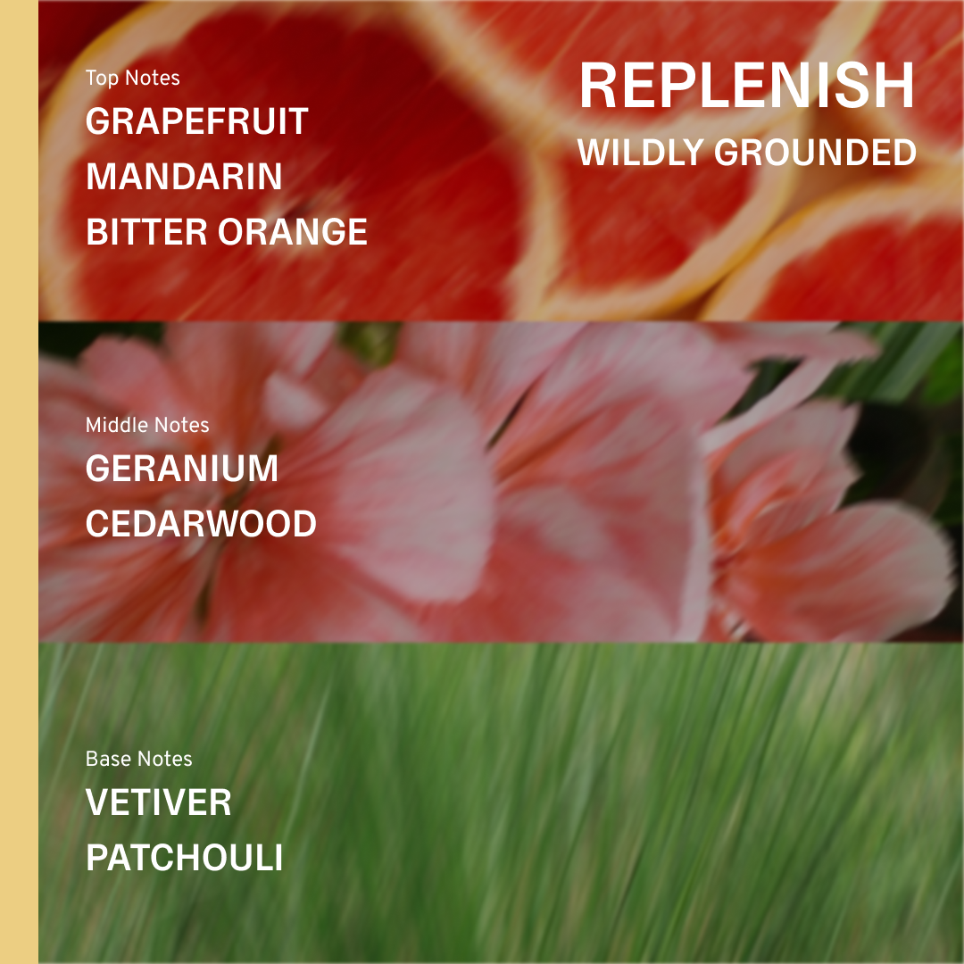 Replenish Body Lotion - Grapefruit, Orange, Vetiver