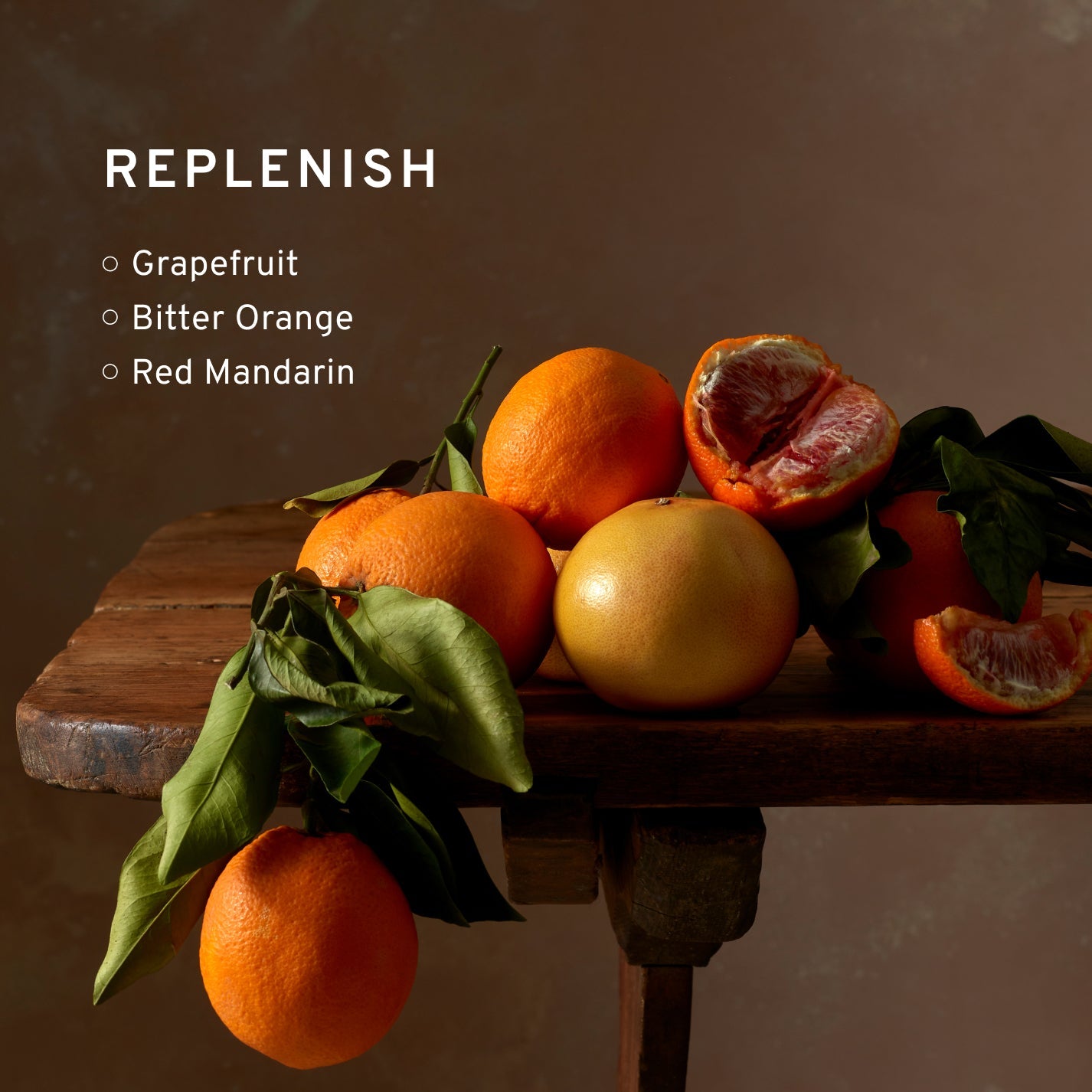 Replenish Body Lotion